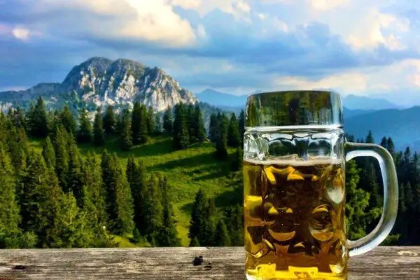 Top 10 Austrian Beers You Should Try