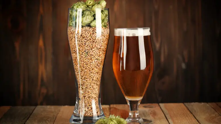 How to Start Brewing beer