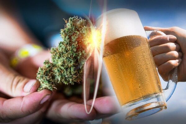 Cannabis-Infused Beer Guide: The 10 Best Weed Beers
