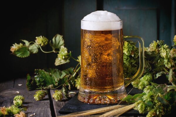 Hoppy Beer: What it is, Taste and Brands
