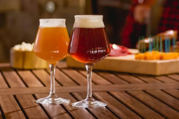 6 Best Tulip Beer Glasses in 2023