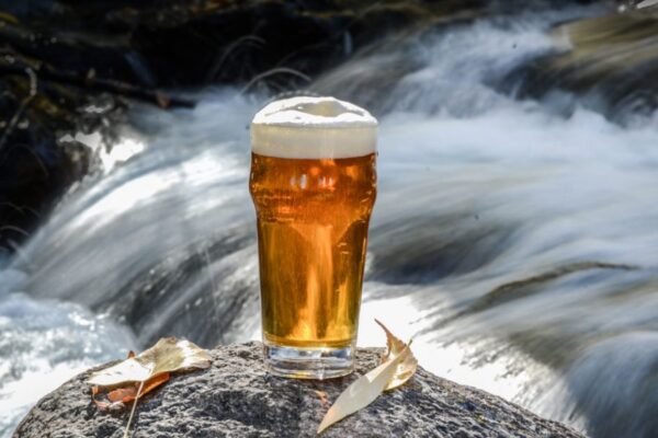 What Percentage of Beer is Water?