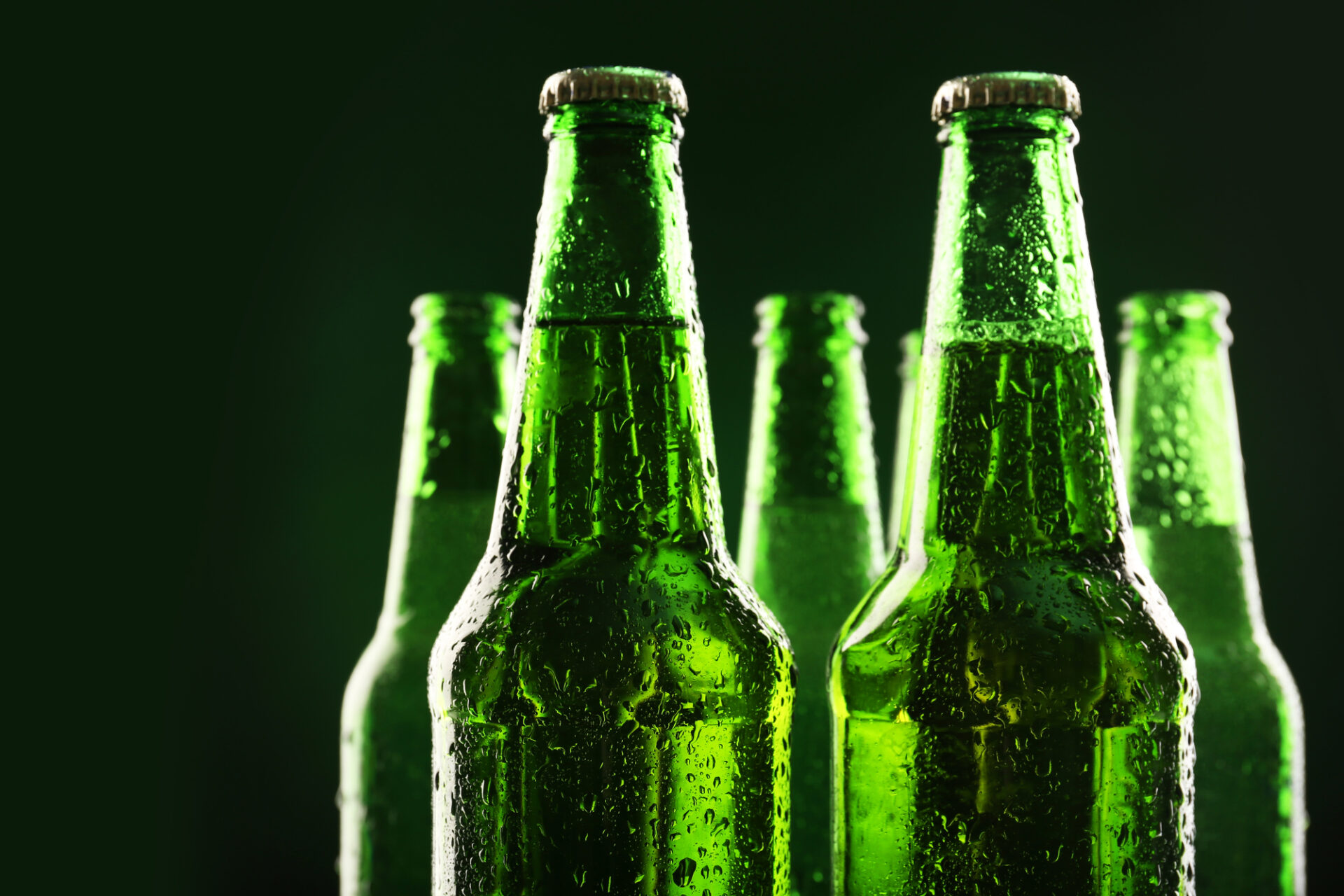 Green Bottle Beer Brands