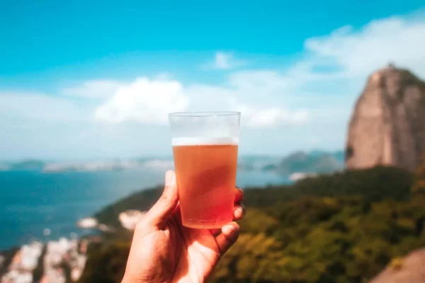 Top 10 Best Brazilian Beers to Try in 2023