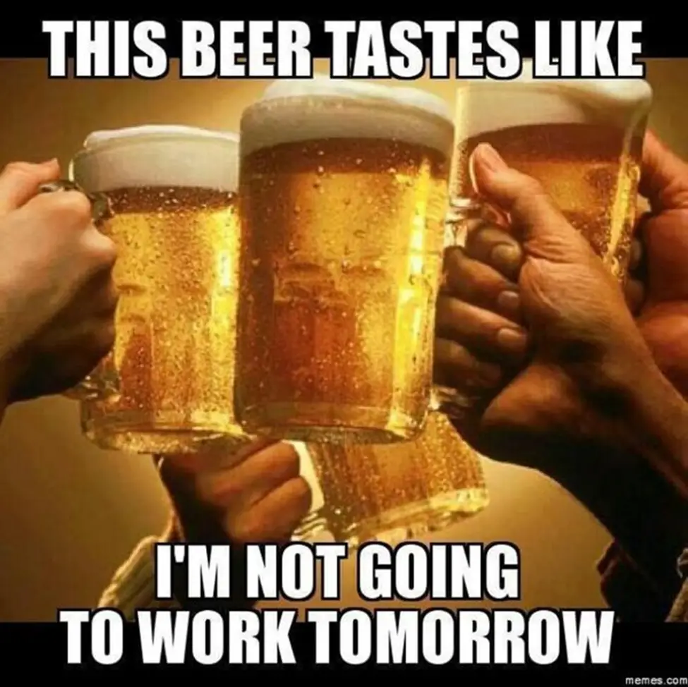 20 Best Beer Memes Ever The Beer Exchange