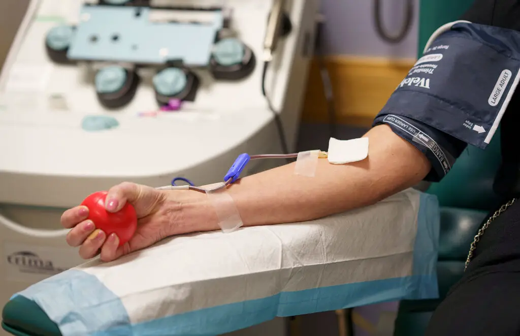 Should You Drink Alcohol After Blood Donation?