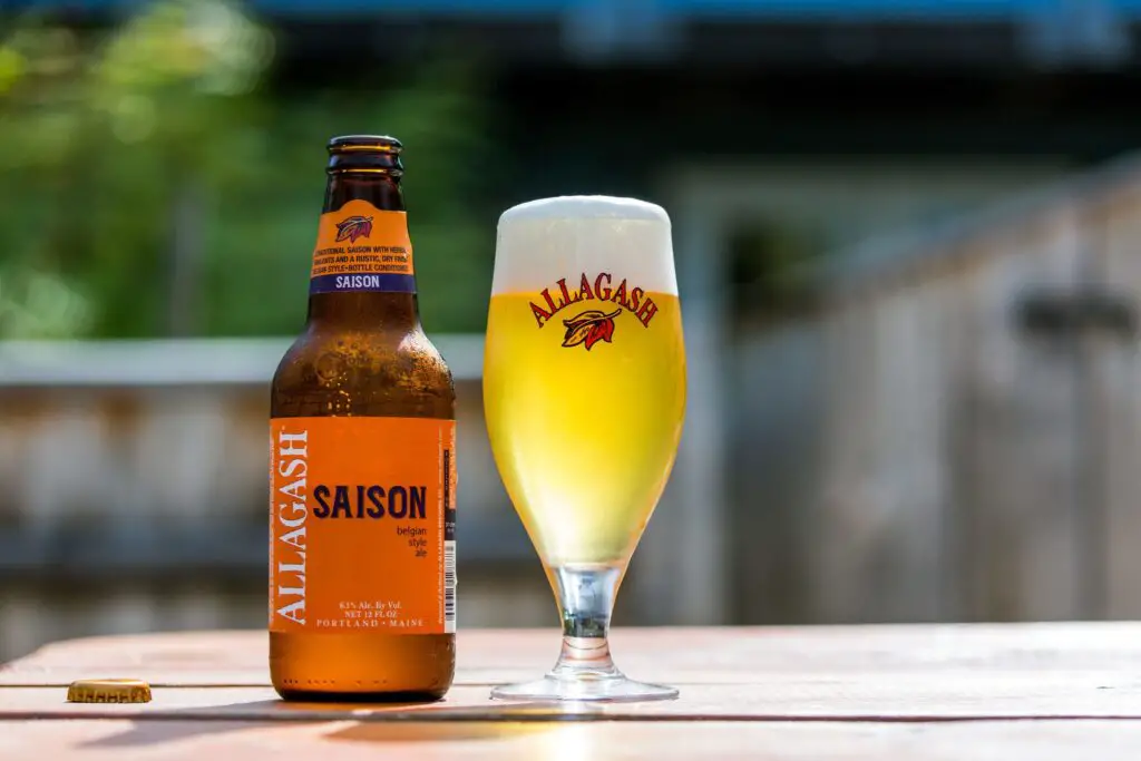 Top 10 Best Saison Beer Brands To Try in 2023