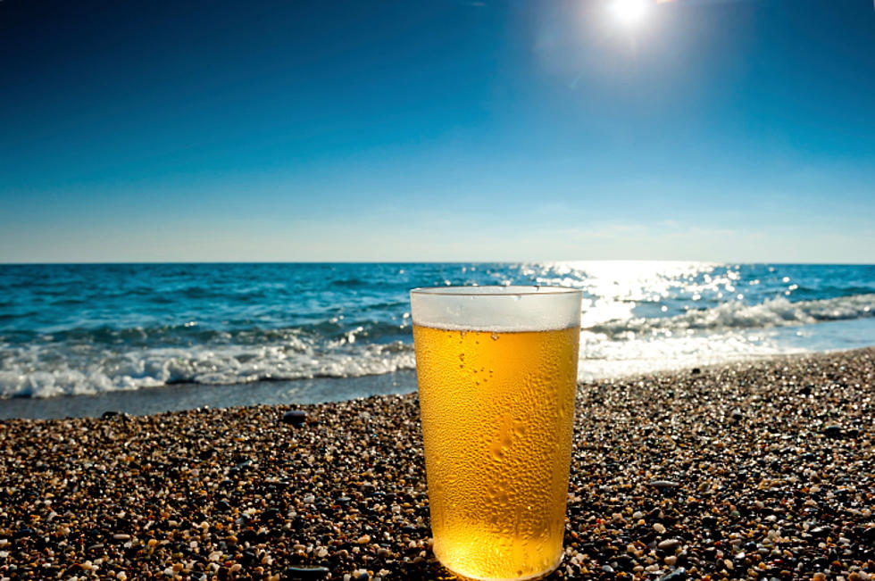 Top 10 Best Beer Brands for Summer To Keep You Cool