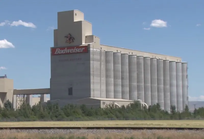 Where Is Budweiser Made